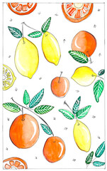 A bright and quirky hand-drawn illustration featuring the best of citrus fruits, lemons and oranges. 