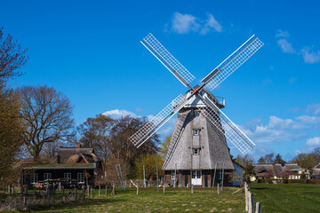 Fototapeta na wymiar Historische Windmühle in Ahrenshoop auf dem Fischland-Darß