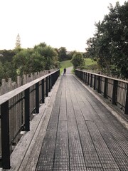 Obraz premium wooden bridge, trees, nature, scenery, evening view 