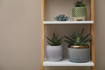 Beautiful houseplants on shelving unit near beige wall. Space for text