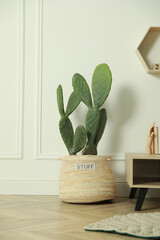 Stylish room interior with beautiful potted cactus and wooden table