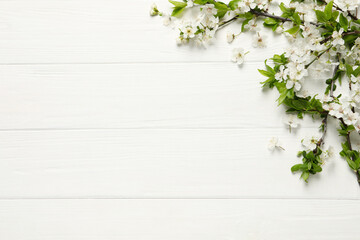 Cherry tree branches with beautiful blossoms on white wooden table, flat lay. Space for text