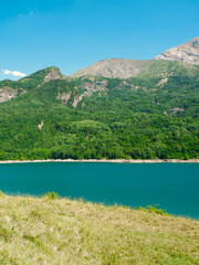 Obraz premium River Gallego and view of the mountainside, Sallent de Gallego, Huesca, Aragon region, Spain