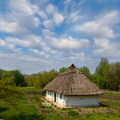 Fototapeta na wymiar ethnic medieval rural house on green forest glade, summer countryside scene
