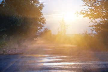 closeup wet asphalt road after a rain in light of evening sun, country rural background