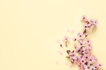 Sakura tree branch with beautiful pink blossoms on beige background, flat lay. Space for text © New Africa