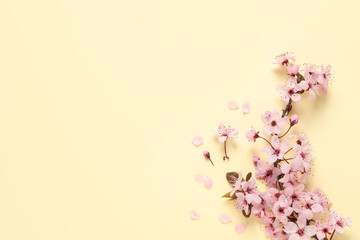 Sakura tree branch with beautiful pink blossoms on beige background, flat lay. Space for text