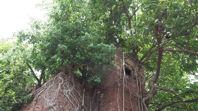 An abandoned and dilapidated house used by the Zamindars in Bengal in Kolkata India