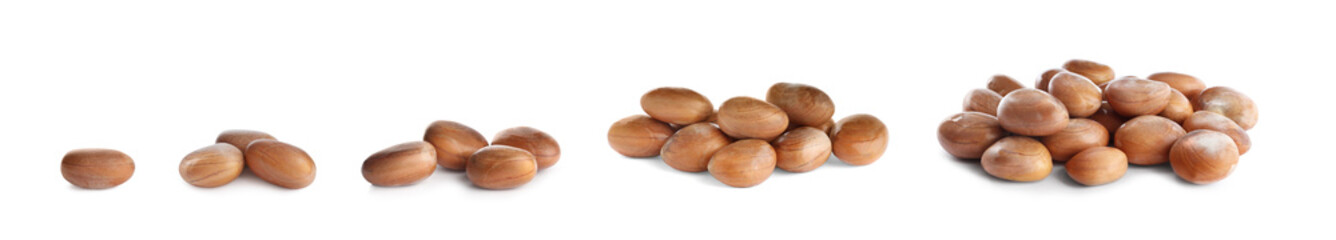 Set with jackfruit seeds on white background. Banner design
