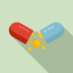 Digestion capsule icon, flat style