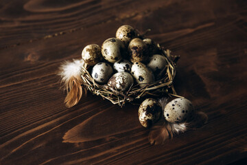 Quail eggs on the dark background