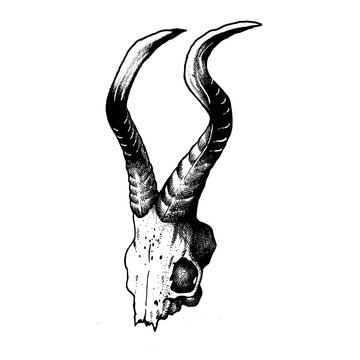 skull horn aesthetic