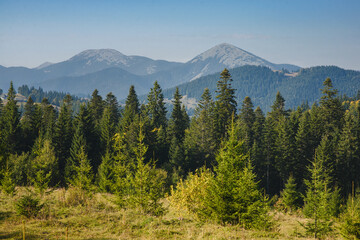 Obraz premium landscape with trees and mountains