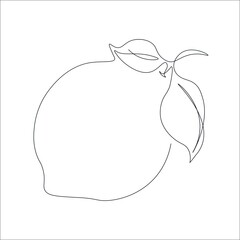 Continuous single line drawing of a lemon. Drawing a whole fruit with a single line. Abstract minimalistic style. Continuous line citrus fruit. Vector illustration on white isolated background.