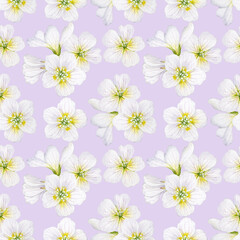 Seamless pattern with delicate spring flowers painted in watercolor.