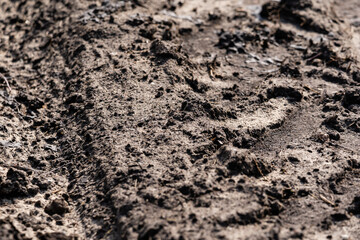 the muddy road is dry in the sun and plays an interesting pattern and imprints