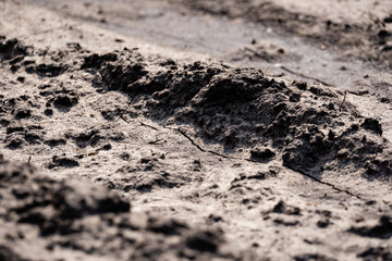 the muddy road is dry in the sun and plays an interesting pattern and imprints