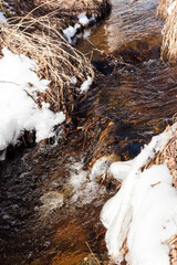 Brook filled with water in springtime