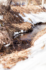 Obraz premium Beautiful brook flowing through the landscape