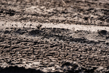 the muddy road is dry in the sun and plays an interesting pattern and imprints