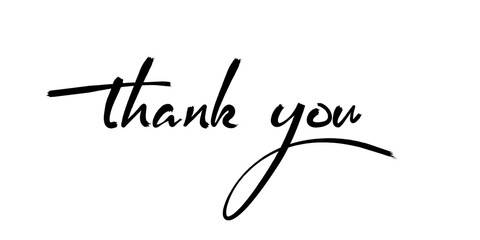 'thank you' hand lettering - handmade calligraphy vector illustration eps10