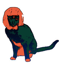 Cat wearing a wig