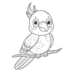 Cute parrot for coloring book.Line art design for kids coloring page. - 430797170