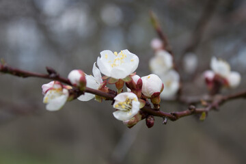Nature, landscapes, sky, sun, all the most beautiful.