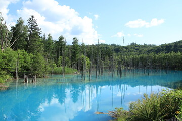 blue pond