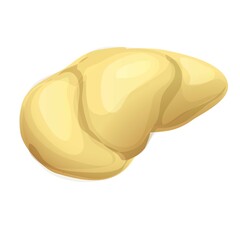 Part durian icon, cartoon style