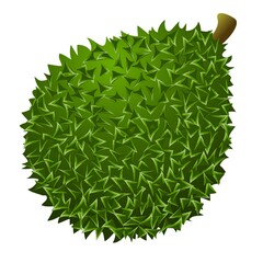 Organic durian icon, cartoon style