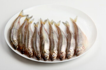 Fresh smelt fish on a white background, Small fish on a white plate. Smelt fishes (European smelt) isolated on white