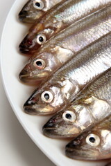 Fresh smelt fish on a white background, Small fish on a white plate. Smelt fishes (European smelt) isolated on white