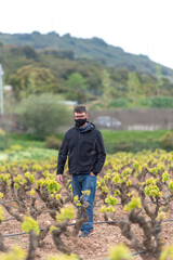 Vineyards in the La Rioja region of Spain in 2021