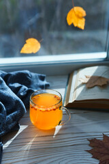 Hot warming healthy drink with sea buckthorn berries. Glass cup with berry tea on the windowsill on an autumn sunny day. Copy space, vertical orientation.