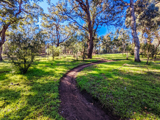 Fototapeta na wymiar Yarra Trails in Melbourne Australia