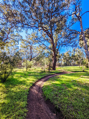 Fototapeta na wymiar Yarra Trails in Melbourne Australia