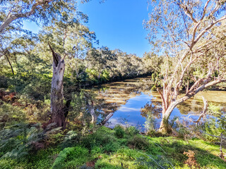 Yarra Trails in Melbourne Australia