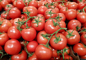 Lot of red ripe tomatoes. Harvest or supermarket concept