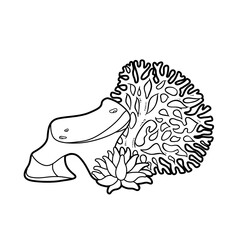 Corals and sea anemones grow on stone coloring book linear drawing isolated on white background