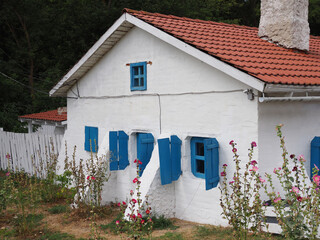 Traditional Greek architecture, white houses, blue doors and shutters,green plants and beautiful...