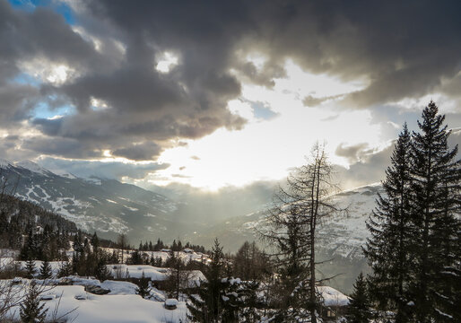 Winter landscape with snow