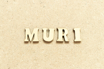 Fototapeta na wymiar Alphabet letter in word muri on wood background