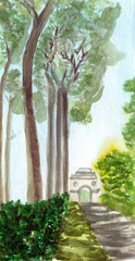 Viale alberato a Villa Borghese, acquerello 
