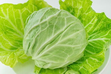 春キャベツのイメージ