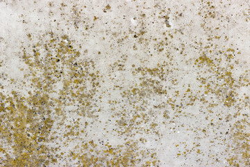A flat grey concrete surface with yellow spots of lichen