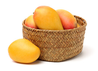 Mango on a white background