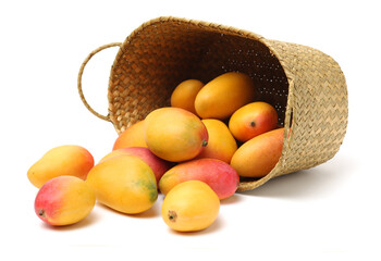 Mango on a white background