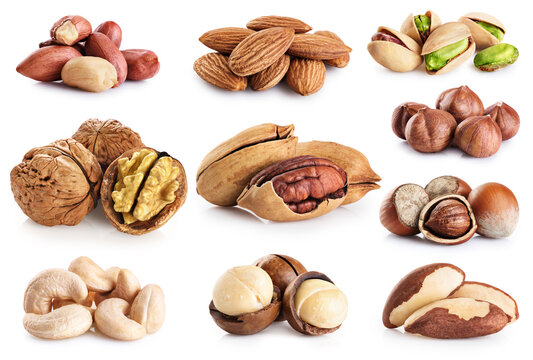 Nuts collection. Macadamia, walnuts, hazelnuts, peanuts, pecans, pistachios, cashews, almonds, brazil nuts.