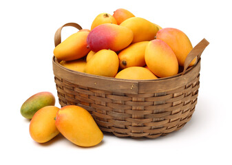 Mango on a white background